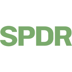 SPY icon
