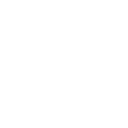 DIS icon