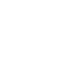 FAST icon