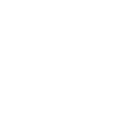 UNH icon