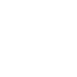 V icon